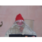 DSCF4380
